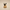 Siamese Cat Duck – Camera-Facing View