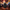 Slot Machine Duck – Back View