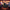 Slot Machine Duck – Left Side