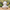 Spa Duck – Back View