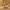 Sphinx Cat – Left Side
