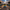 Spock-Inspired Duck - View 1