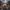 Spock-Inspired Duck - View 3