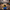 Spock-Inspired Duck - View 4