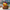 Stan Marsh South Park Duck – Camera Facing