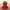 Strawberry Duck – Back