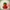 Strawberry Duck – Front