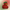 Strawberry Duck – Left Side