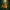 Tiger Duck – Right Side