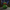TMNT Duck Back View
