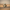 Tusken Raider Duck – Camera Facing