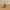Tusken Raider Duck – Front