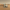 Tusken Raider Duck – Left Side