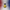 USA 250th Anniversary Duck – Back