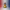 USA 250th Anniversary Duck – Camera Facing