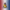USA 250th Anniversary Duck – Front