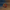 Viking Cruise Duck – Camera Facing