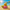 Volleyball Duck — Camera-Facing