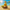 Volleyball Duck Figurine - Female