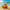 Volleyball Duck Figurine - Female