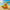 Volleyball Duck Figurine - Female
