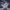 Wind Dragon Duck – Back