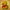 Winnie-the-Pooh Duck – Camera Facing
