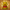 Winnie-the-Pooh Duck – Front