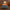 Witch's Cauldron Duck - right profile view