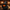 Wizard Duck – Camera Facing