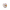Wrinkly Scary Duck 3D render