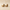 Yorkshire Terrier Duck Pair — Right Side